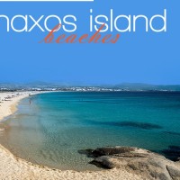 82690348_532204367380821_2178972604457549824_n